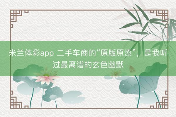 米兰体彩app 二手车商的“原版原漆”，是我听过最离谱的玄色幽默