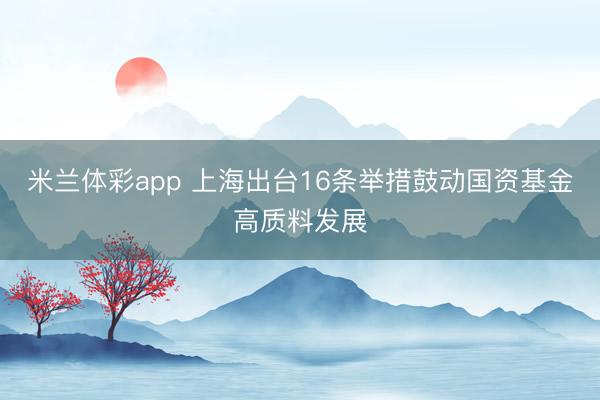 米兰体彩app 上海出台16条举措鼓动国资基金高质料发展